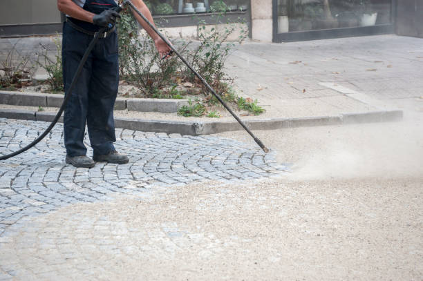 Animal Enclosure Cleaning in Great Neck Plaza, NY